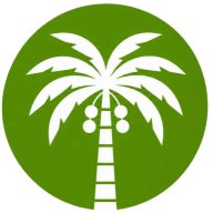 Organic Date Syrup Bulk